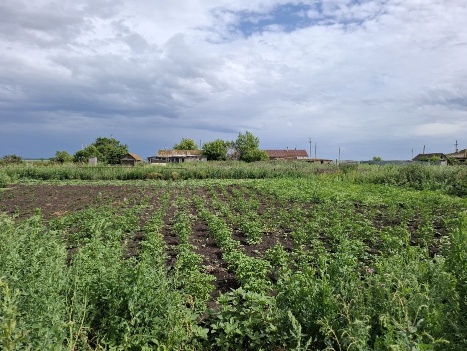 Продаётся дом в с. Еленовка