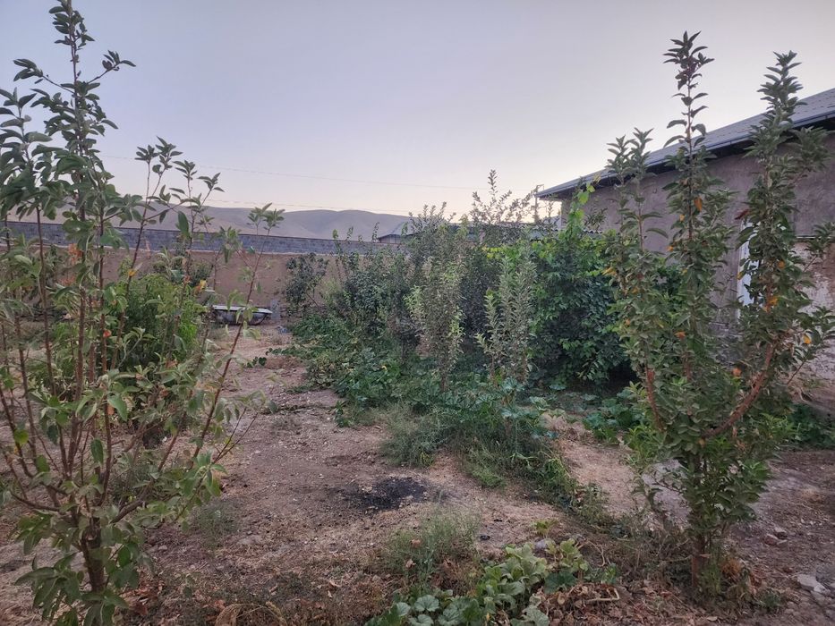 Srochni!! 10 sotih 7 hona uy sotiladi Kuyovboshi MFY.