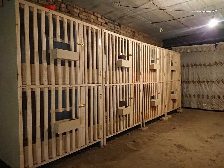 Лоток для Инкубатора