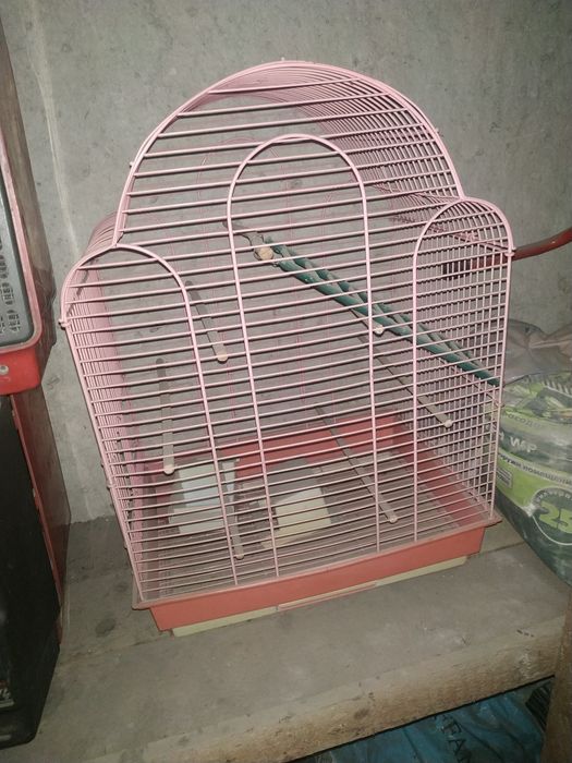 Клетка 45×40×48 (ш×г×в) см.