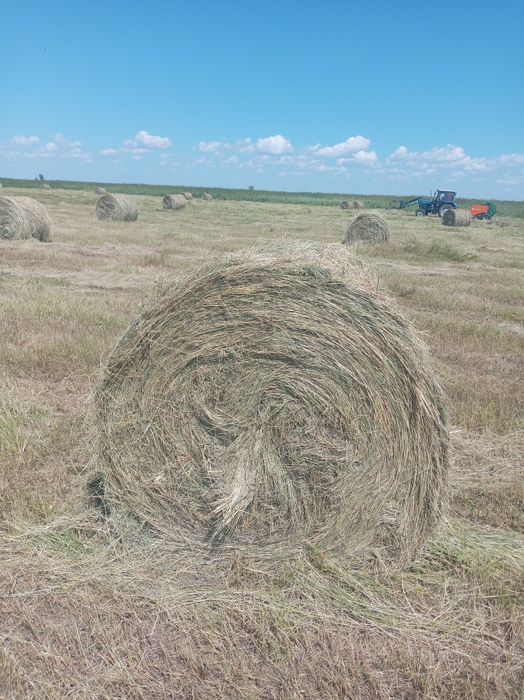 Продам сено с доставкой