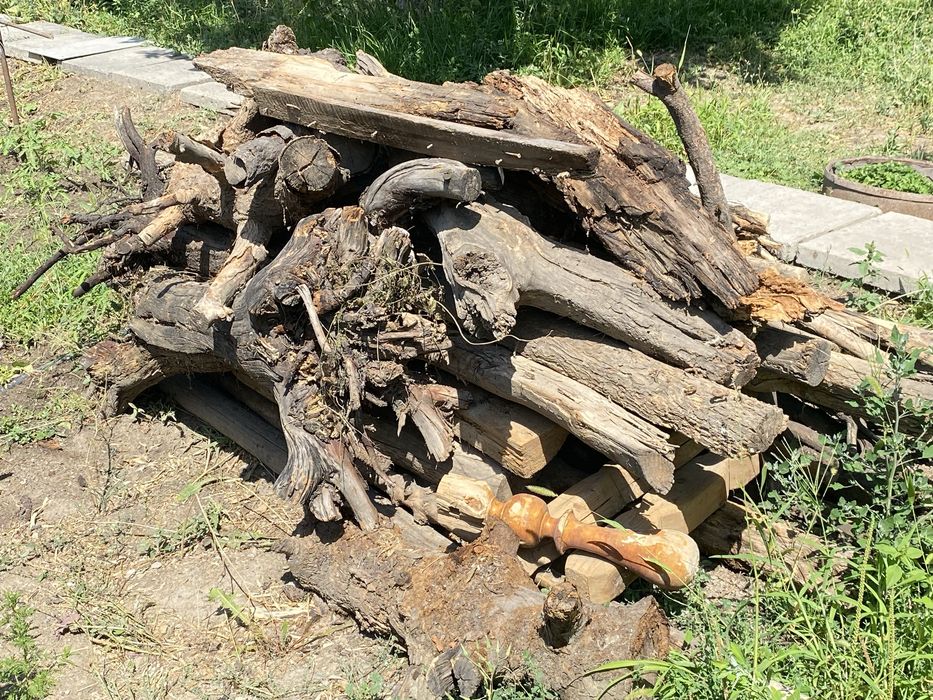 Продам дрова сухие недорого