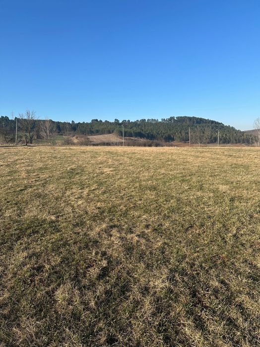 Teren pentru casa, Savadisla, 25 km de la Cluj - 1200 mp