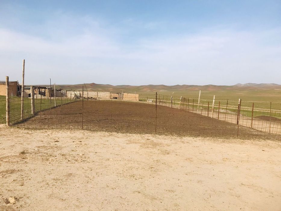 Кора сатылады жайылымдық жерімен