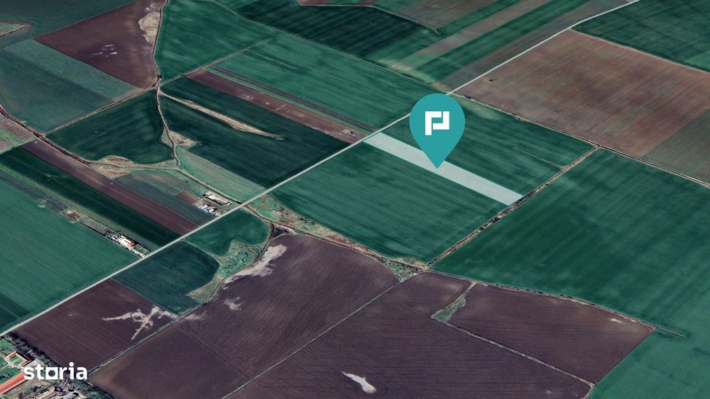 Teren 30.000 mp cu acces asfaltat – Peciu Nou