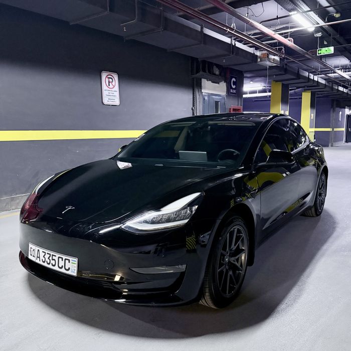Tesla Model 3 Standart Plus 2020 USA