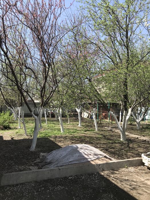 Дом в посёлке Абай