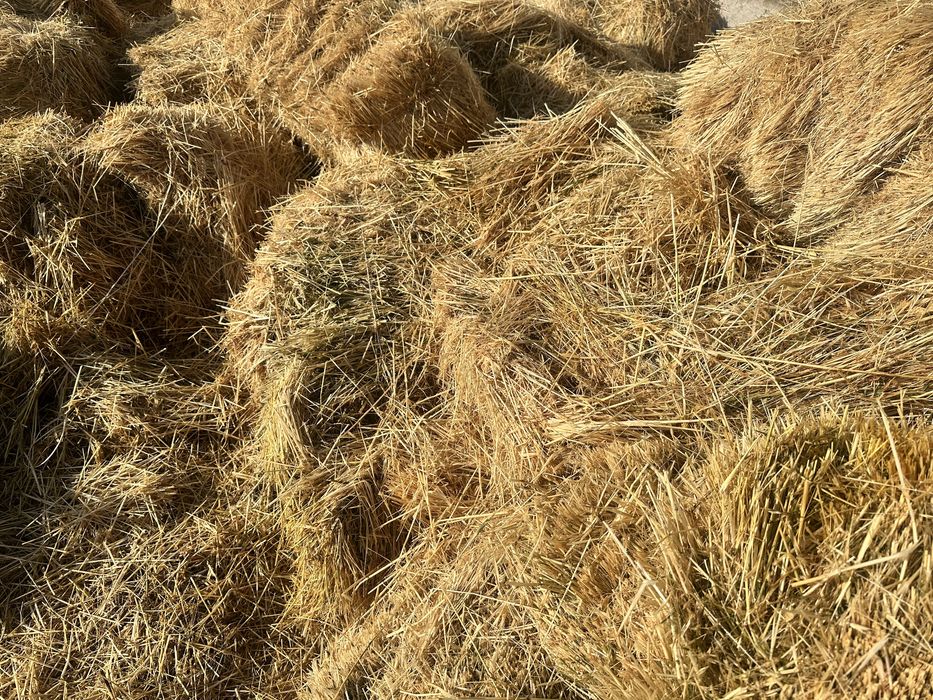 пресс шоп жаксы