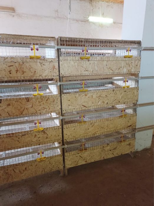 Клетка для перепелов