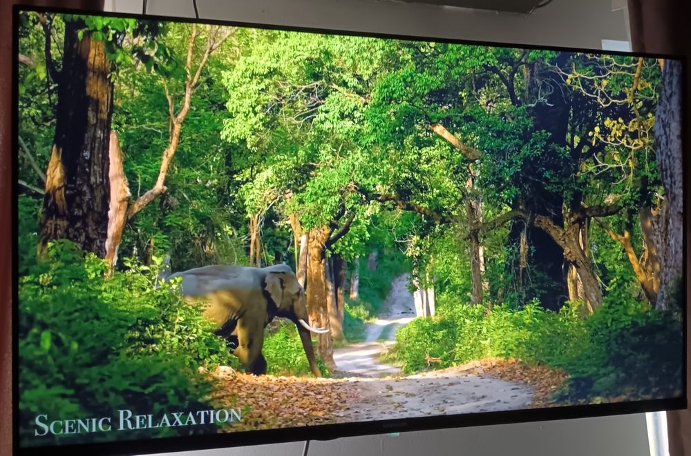 Телевизор смарт 109 см