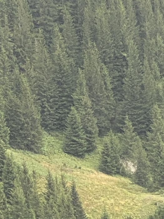 Teren intravilan pt cabana Neagra Sarului