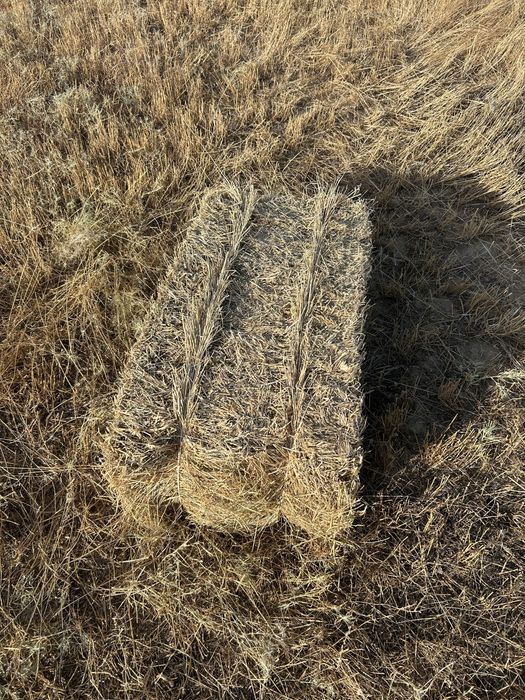 Шоп сатылады кырдын шоби