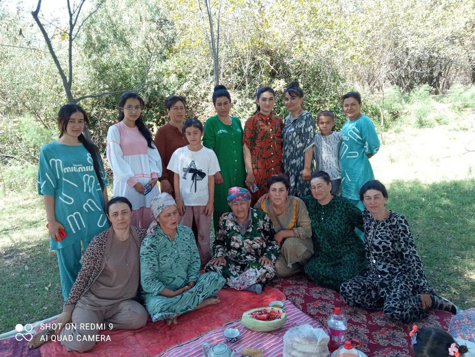 Xandon pista ko'chatlari