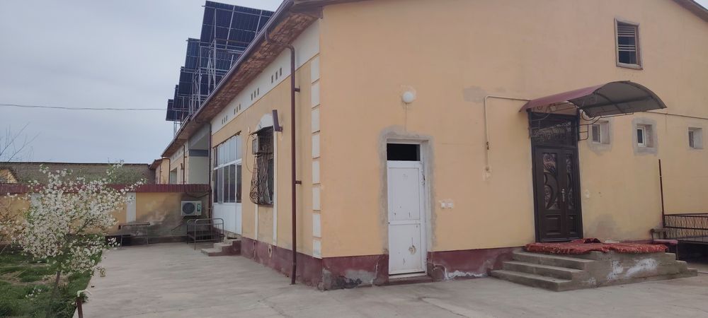 Kotej sotiladi manzil: Do'stlik 2014