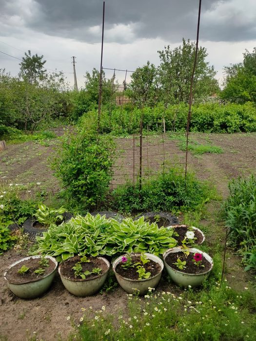 Продам дачный участок