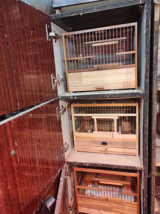 Продам учебный шкаф