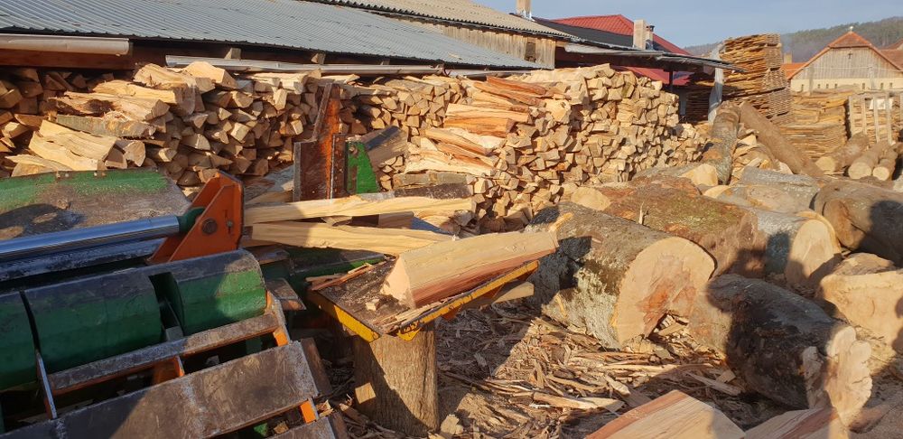 Lemn lemne de foc fag