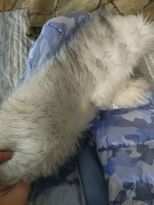 Зимняя куртка 134