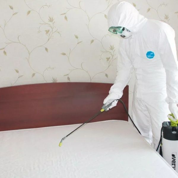 Dezinfeksiya klapa dizinfeksiya Дезинфекция клопов Дезинсекция