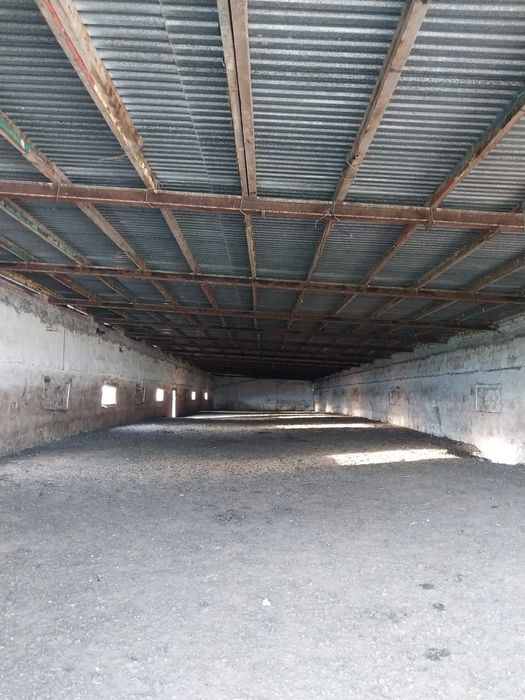 Животноводческое хозяйство