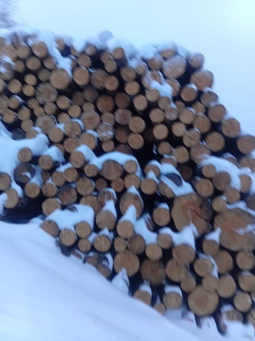 Кругляк низкие цены