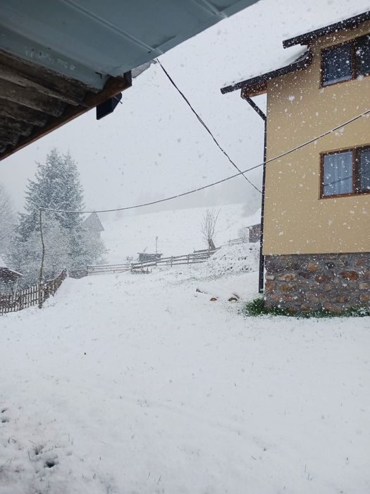 Case si teren de vanzare ALBAC, ALBA