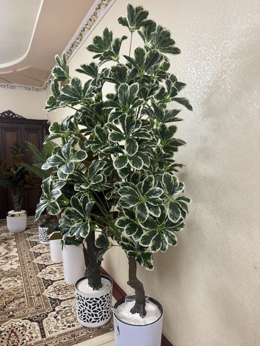 Искуственный цветы для дома. Суний гуллар