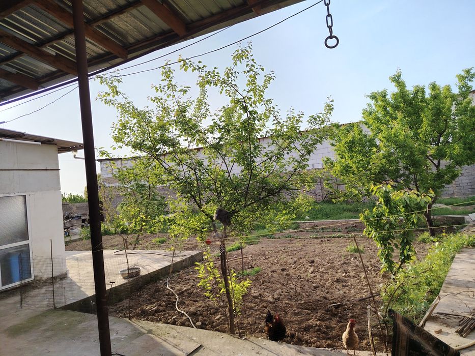 UY SOTILADI. Zangata tumanida. 6 SOTIK