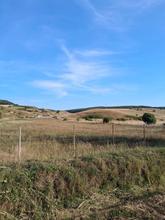 Teren de vanzare