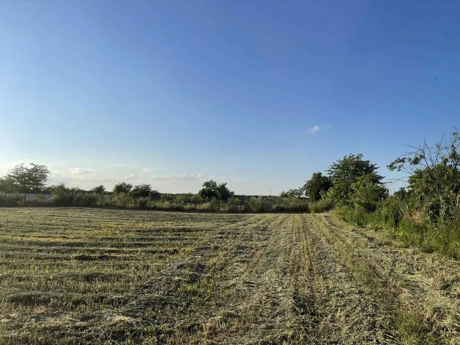 Teren Intravilan 2.100mp Lunca Banului