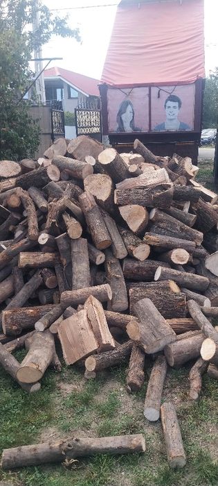 Fag și stejar de vanzare