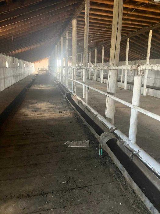 Животноводческая база