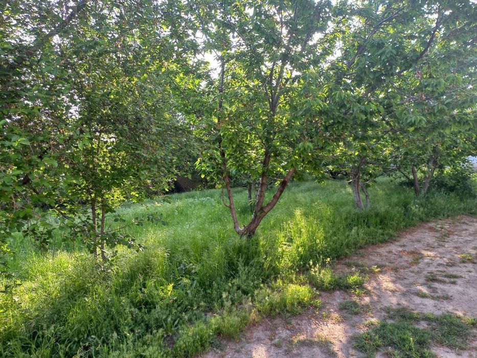 Срочно продам дом 10 соток,  в бонус около 2 соток земли