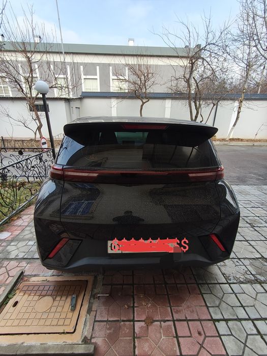 Byd seagull Flying 405 km Сигал фул