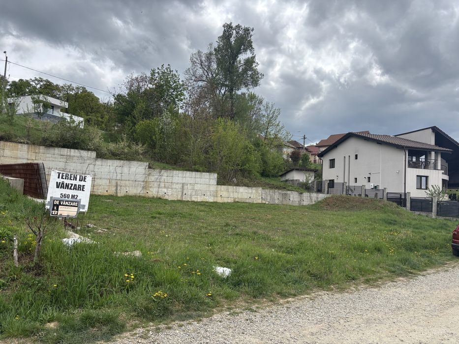 Teren zona Ciuperca
