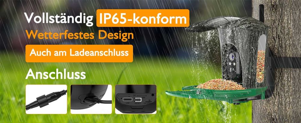 Инсталация за наблюдение на птици Lollyes Bird Feeder с камера