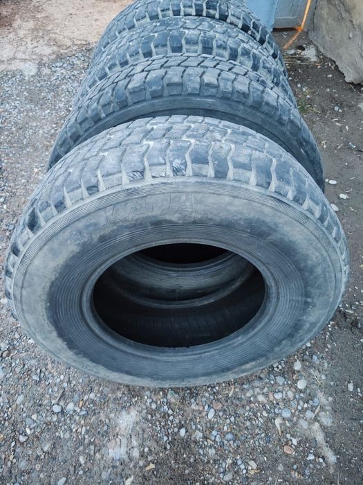 Продам всесесознную резину