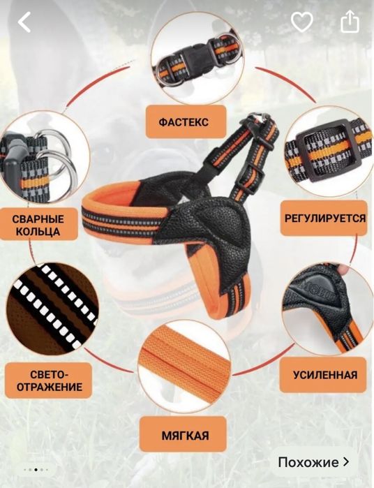 Шлейка и поводок