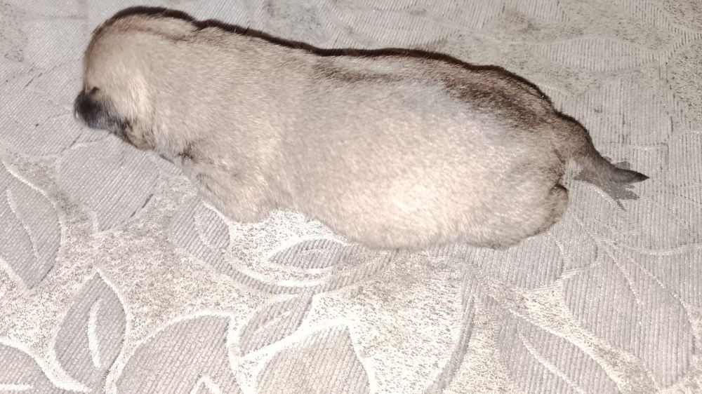 Открыта бронь ..