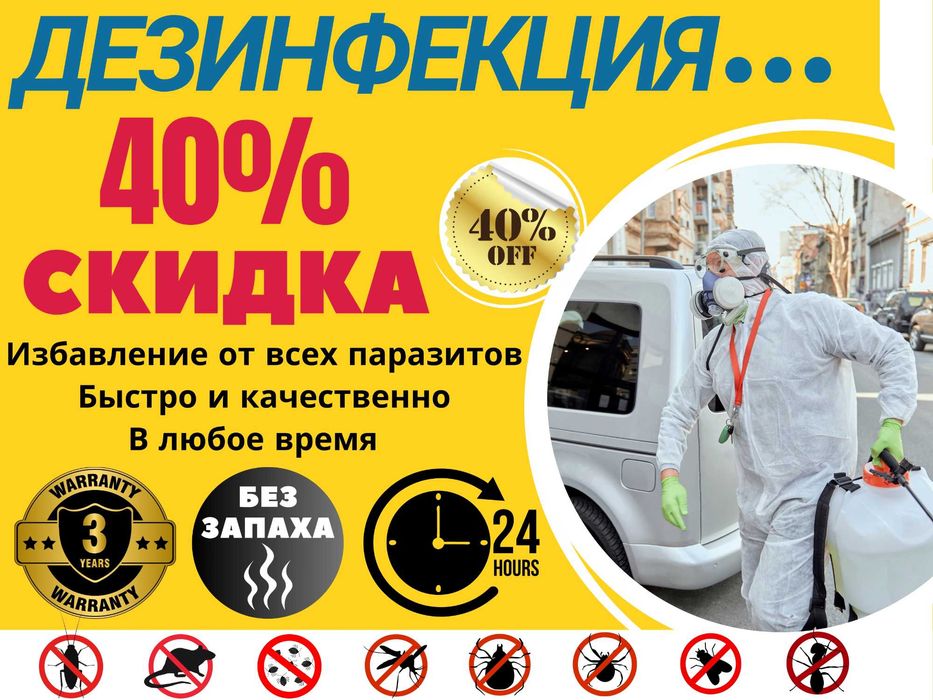 Dezinfeksiya klop tarakan Дезинфекция уничтожение клопов от клопов