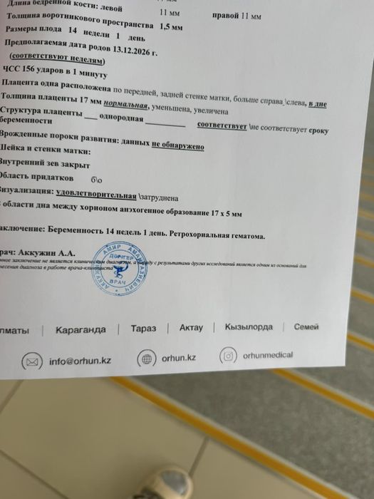 Продам кота в хорошие руки