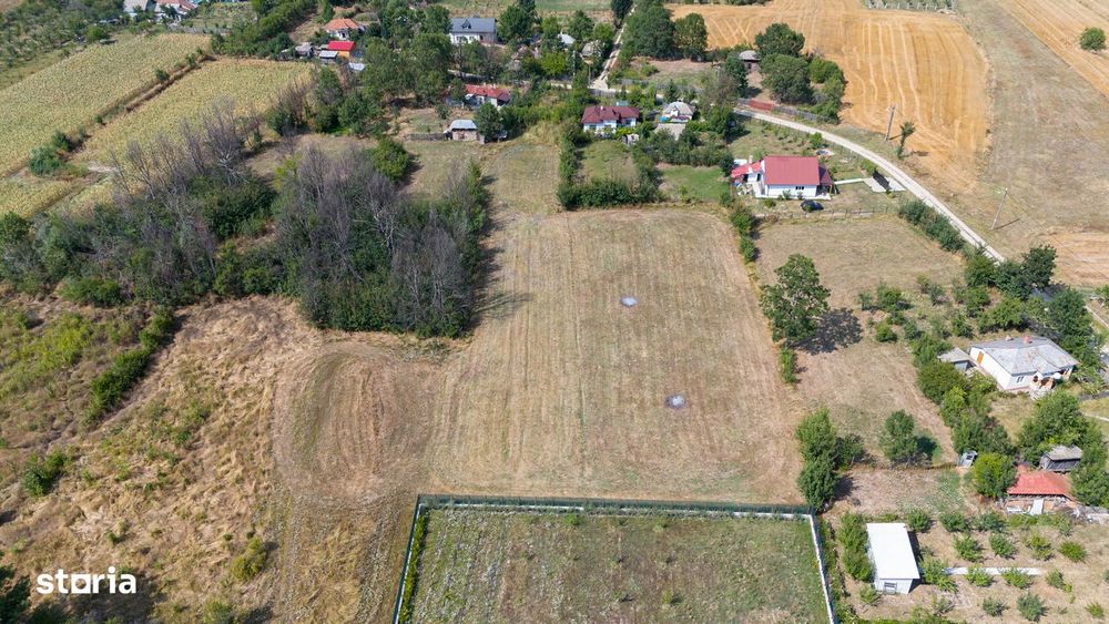 Proprietar teren intravilan, comuna Suseni, sat Galesesti 4760mp