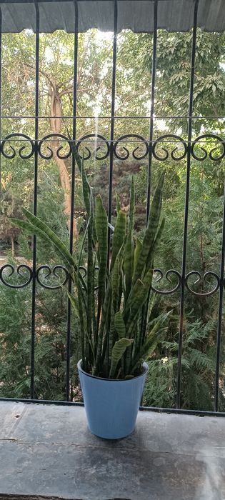 Продаю свою 2х комн квартиру, Мирзо-Улугбекский район, массив Хумаюн