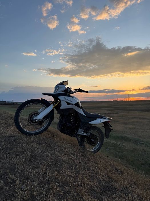 racer ranger 250