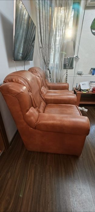 Fotolii din piele ecologica