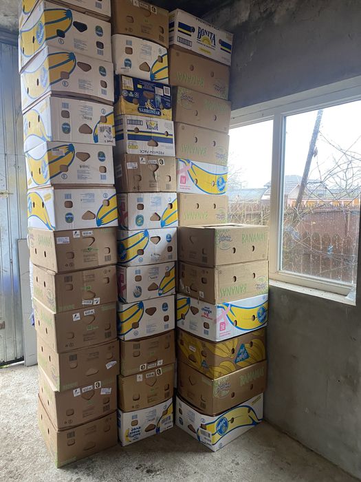 Baxuri noi de banane !