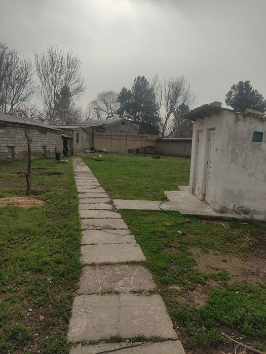 Участок 33 сотки Майский посёлок Кибрайский район