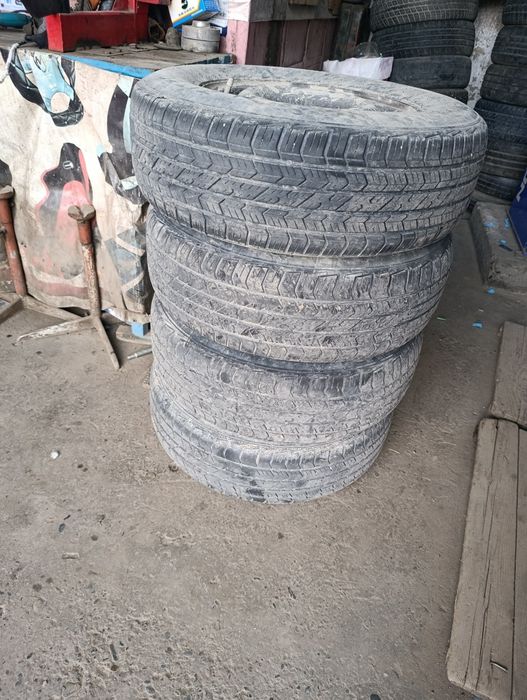 14 deska balon Cobalt