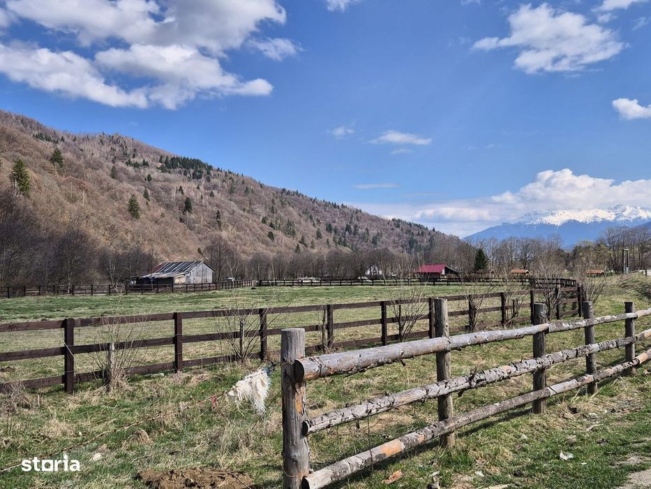 Teren intravilan cu vedere la munte, 1200 mp, acces usor, Plaiul Foii