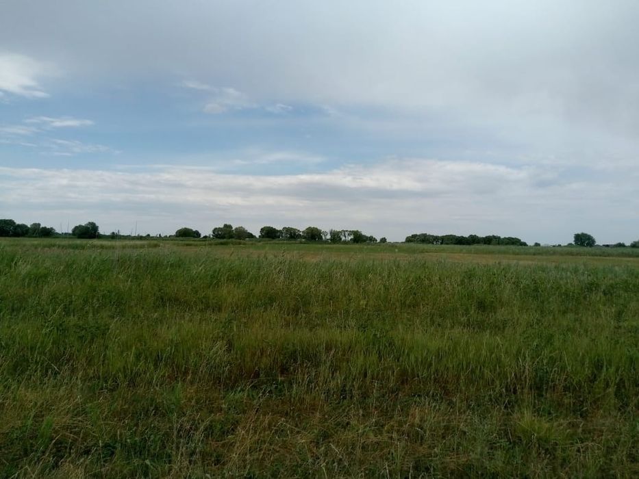 Продам или сдам в аренду участок